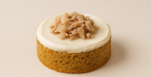 tuna fish cake